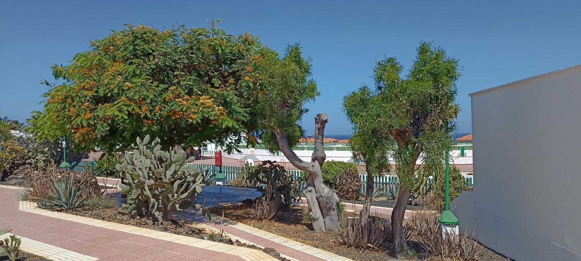 Casa Gioeli Cocosol Villa Costa De Antigua Ngoại thất bức ảnh
